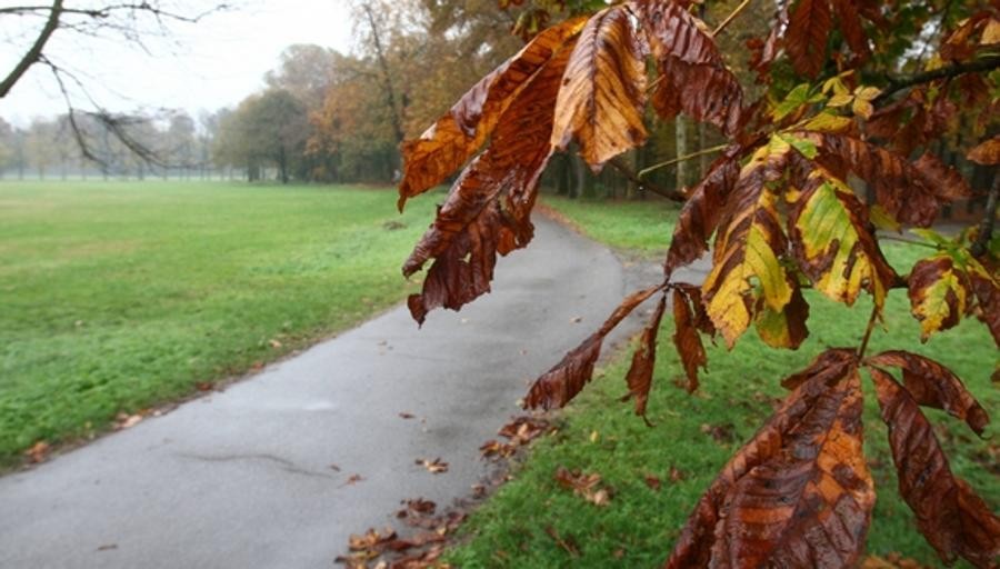 Prime piogge gia in atto, ma il peggio arrivera entro sera.