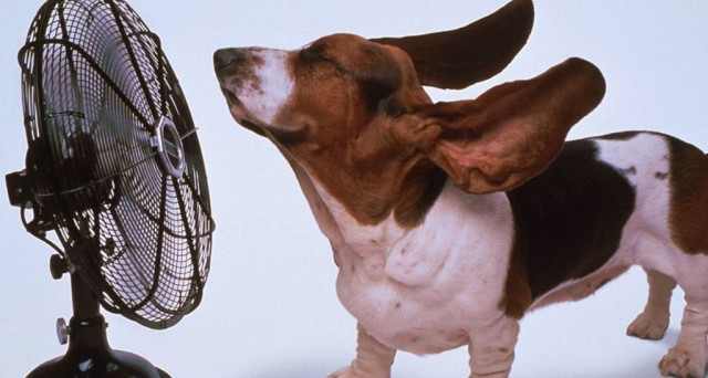 Ancora giornate pienamente estive in compagnia dell'anticiclone africano ma domenica temporali al nord.