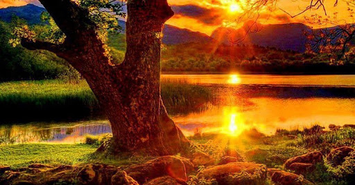 Equinozio d'autunno 2020, perche quest'anno cade il 22 settembre?