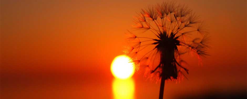 Inizio d'estate 2018 con l'Italia divisa in due: al centro-nord bel tempo e caldo, al centro-sud instabilita con forte maltempo