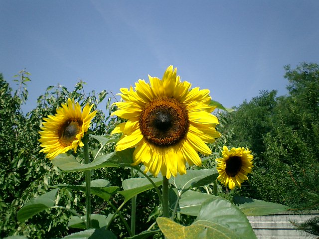 Festa della Repubblica da piena estate!