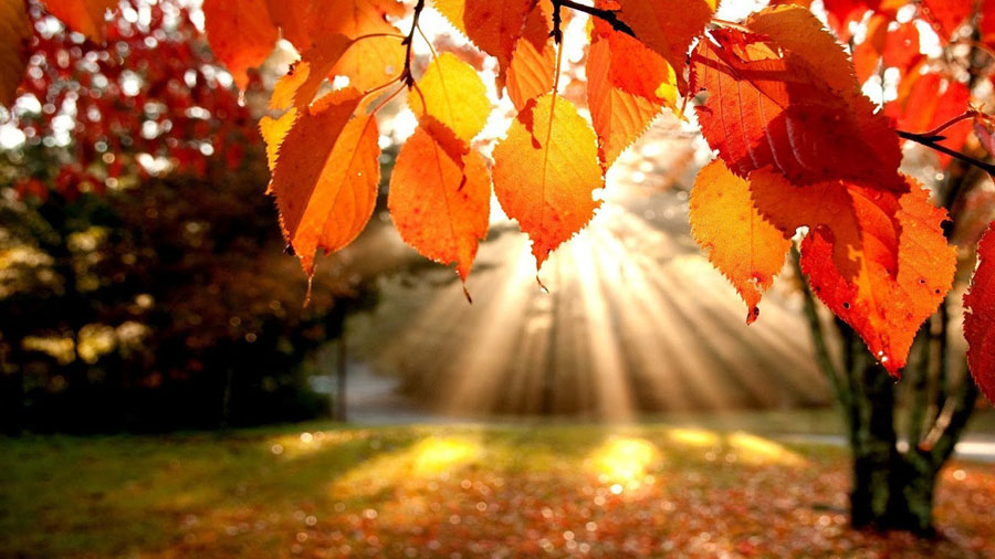 Nel 2019, come nel 2018, l'equinozio d'autunno sara il 23 settembre.