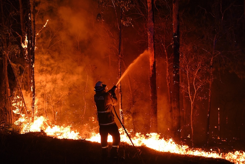 Il taglio degli alberi e la siccita sono stati elementi chiave nella propagazione degli incendi che mette in pericolo migliaia di specie in Australia.