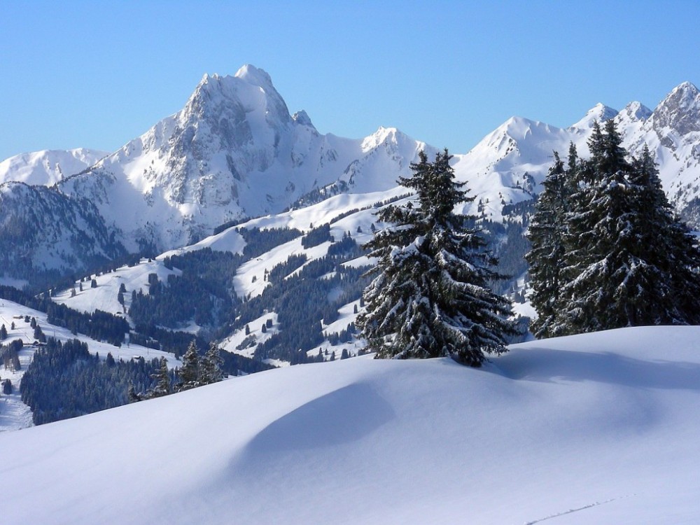 Dopo un gennaio in cui l'inverno non si e praticamente manifestato su gran parte dell'Europa cosa aspettarci per febbraio?