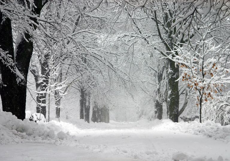 Attese nevicate fino a quote molto basse lungo l'Appennino nei prossimi giorni