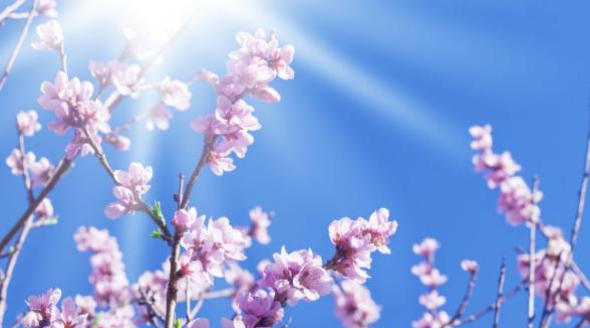 Dopo il Primo Maggio l'anticiclone Africano rialza la testa