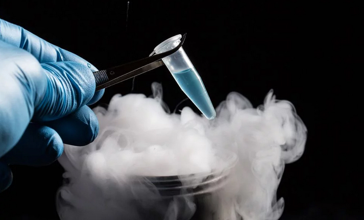 Nuovi virus scoperti nella meseta tibetana: si trovano in ghiacci antichi 15.000 anni.