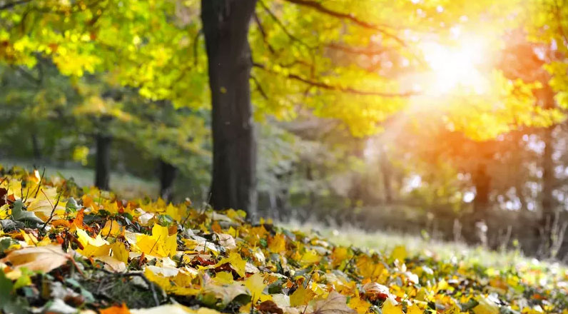 Arriva il mese di Settembre 2020: ecco le tendenze meteo per il mese.