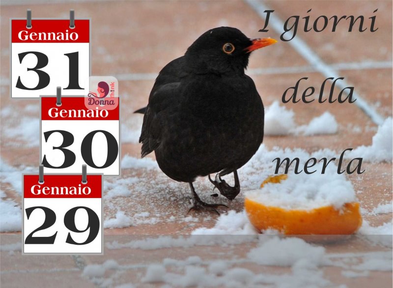 UP Meteo con i giorni della merla