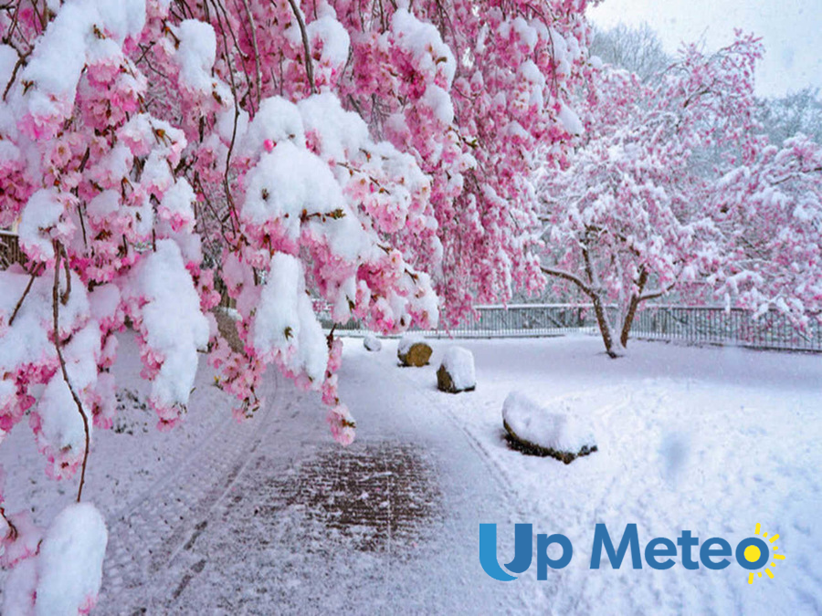 Confermata l'ondata di freddo a inizio settimana, neve fino in collina?